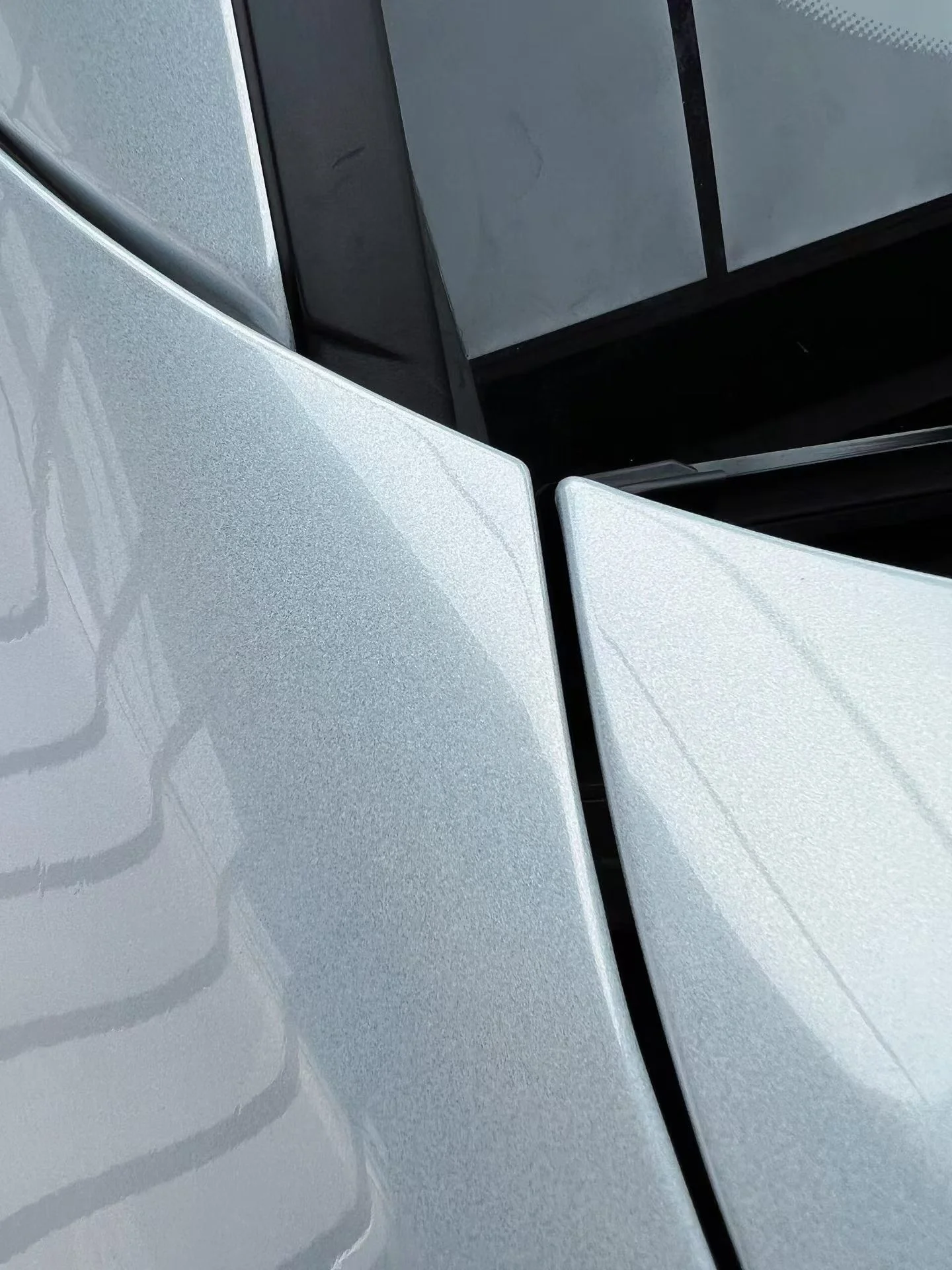 PET Laser White — A closer look. 6